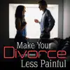 The Divorce Guide - Make Your Divorce Less Painful